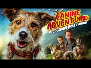 Canine Adventure: A Doggone Hollywood | Full Family Movie In English