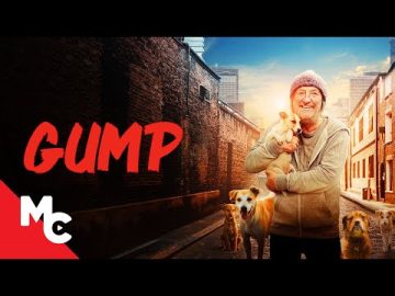 Gump | Stray Dog Family Movie | Beautiful Loving Family Movie