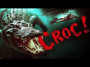 Wedding Crashers | Croc! | Full Action Adventure Movie | Free Movie