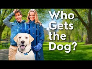 Who should get custody of the dog in a divorce? A sweet romantic comedy | Movie in English 4K