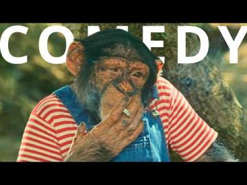 Safari Express, which turns travel upside down | Comedy adventure | Full movie in English HD