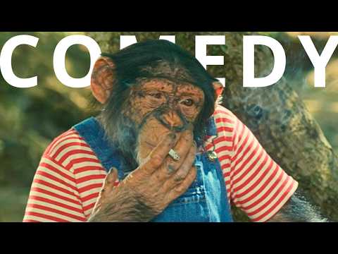 Safari Express, which turns travel upside down | Comedy adventure | Full movie in English HD