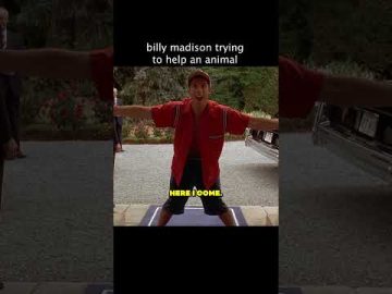 Why Can’t They See He’s Trying To Help?? #universal #moviecentral #billymadison