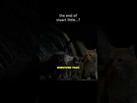 Stuart Little Meets His End…? #sony #moviecentral #stuartlittle Stuart Little Meets His End…? #sony #moviecentral #stuartlittle