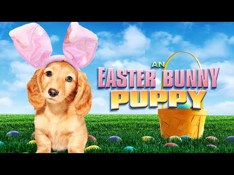 Egg-citing Adventure | An Easter Bunny Puppy | Full Family Movie | Free Movie Egg-citing Adventure | An Easter Bunny Puppy | Full Family Movie | Free Movie