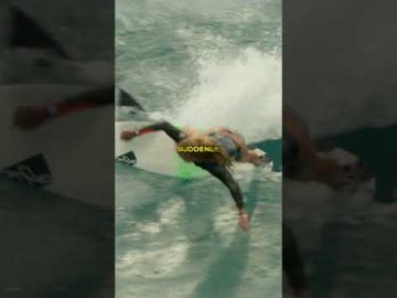 What Would You Do If Shark Bumped Into You #sony #moviecentral #theshallows