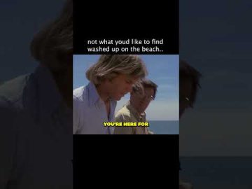 The Harsh Reality Of The Ocean Sometimes #universal #moviecentral #jaws