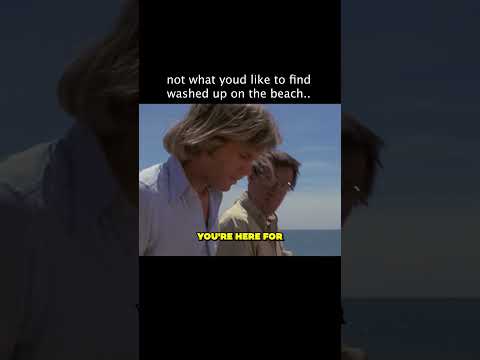 The Harsh Reality Of The Ocean Sometimes #universal #moviecentral #jaws The Harsh Reality Of The Ocean Sometimes #universal #moviecentral #jaws