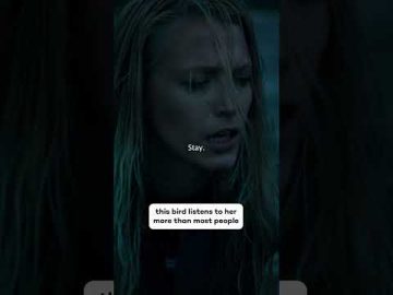 This Bird Listens Better Than Me #sony #moviecentral #theshallows