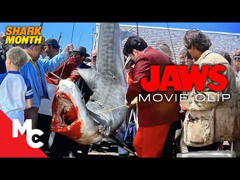 The Moment They Realised Jaws Was Still Alive | Jaws Movie Clip | Shark Week The Moment They Realised Jaws Was Still Alive | Jaws Movie Clip | Shark Week