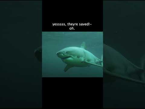 The Girls Are Finally Saved…? #theasylum #moviecentral #sharkseason The Girls Are Finally Saved…? #theasylum #moviecentral #sharkseason