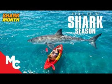 She Spotted A Giant Predator Lurking Directly Beneath Her Kayak | Shark Season | Movie Clip