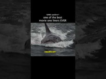 The BEST ending to a shark movie EVER #universal #moviecentral #jaws