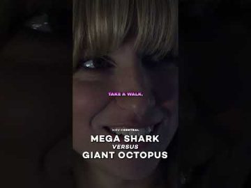 When you’re a little slow at picking up hints #theasylum #moviecentral #megasharkvsgiantoctopus