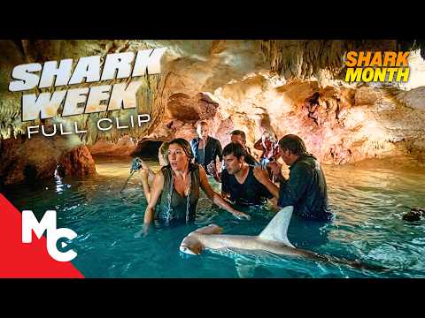 They Were Chained Together In A Cave With A Hammerhead Shark | Shark Week | Movie Clip