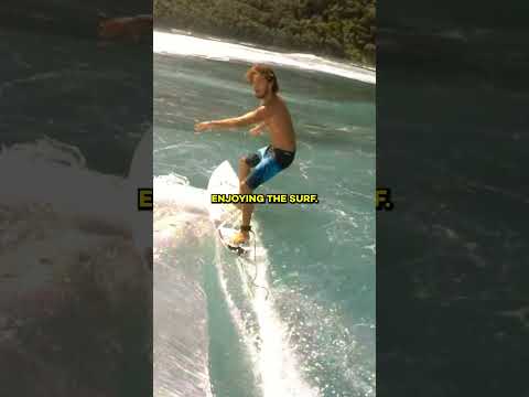The Worst Thing To Happen At The Beach #sony #moviecentral #theshallows The Worst Thing To Happen At The Beach #sony #moviecentral #theshallows