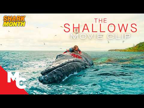 Blake Lively Stranded On A Rock Just 200 Yards From Safety | The Shallows Movie Clip | Shark Month Blake Lively Stranded On A Rock Just 200 Yards From Safety | The Shallows Movie Clip | Shark Month